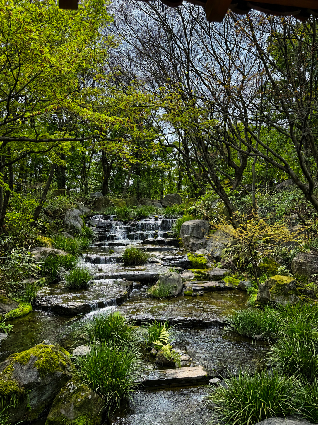 A garden stream and small waterfall over mossy rocks, fresh green foliage