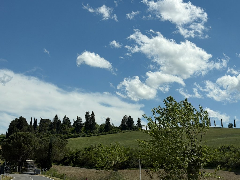 A curving road below a hilltop crowned with cypresses