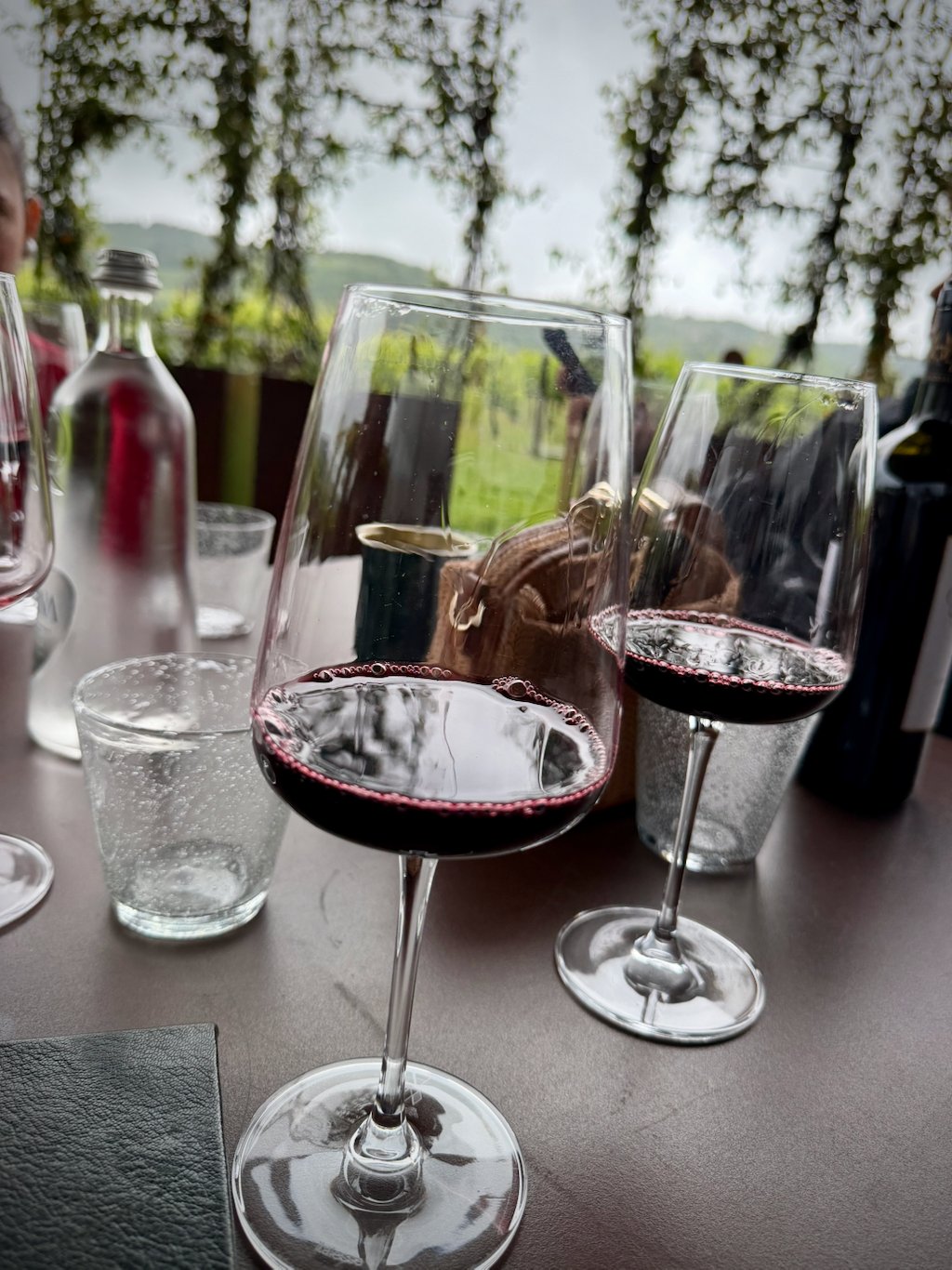 Two glasses of red wine on the table at Rinuccio 1180, vineyards behind