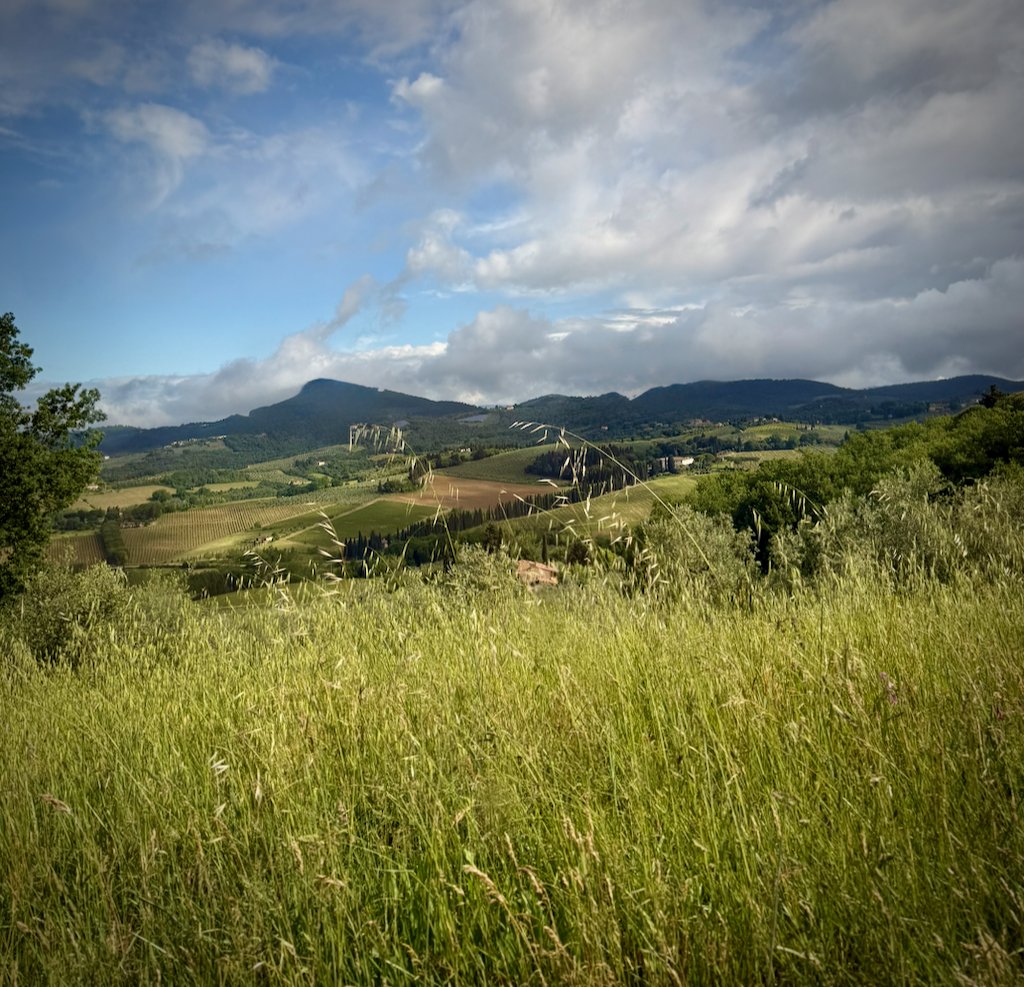 Tall grass and rolling hills at an unplanned stop