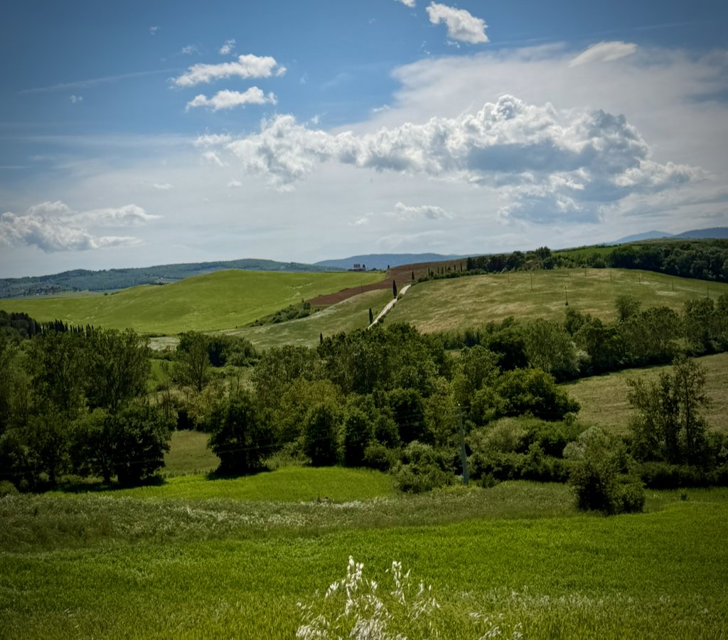 A white road disappearing into the hills south of Siena